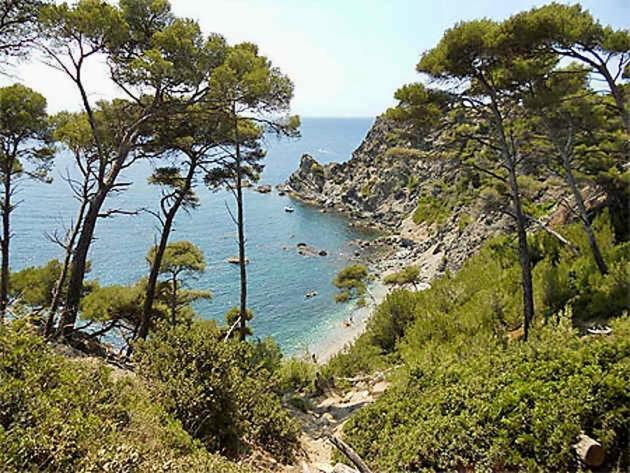 La Fincazur! Proche Plages Six-Fours-les-Plages Extérieur photo